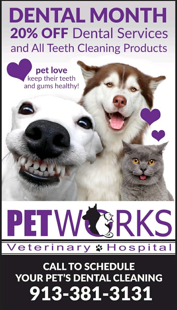 273464539_5059403600778933_2006614598690268850_n