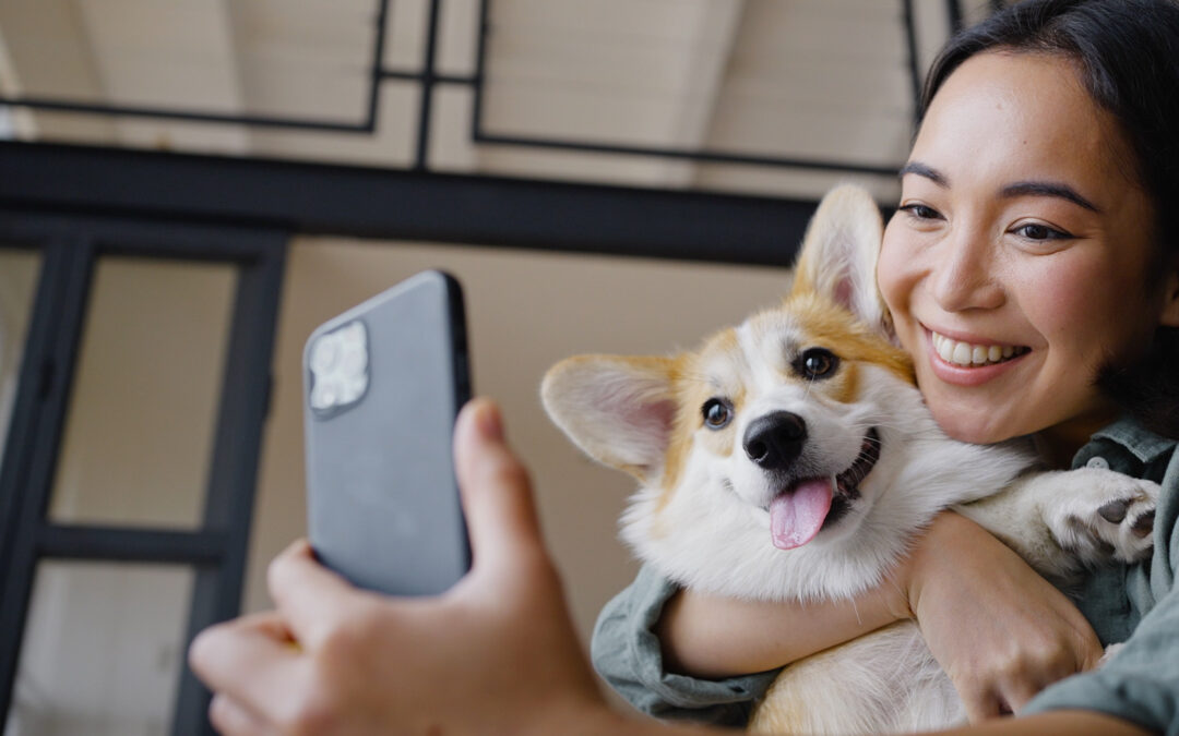 Celebrating Responsible Dog Ownership