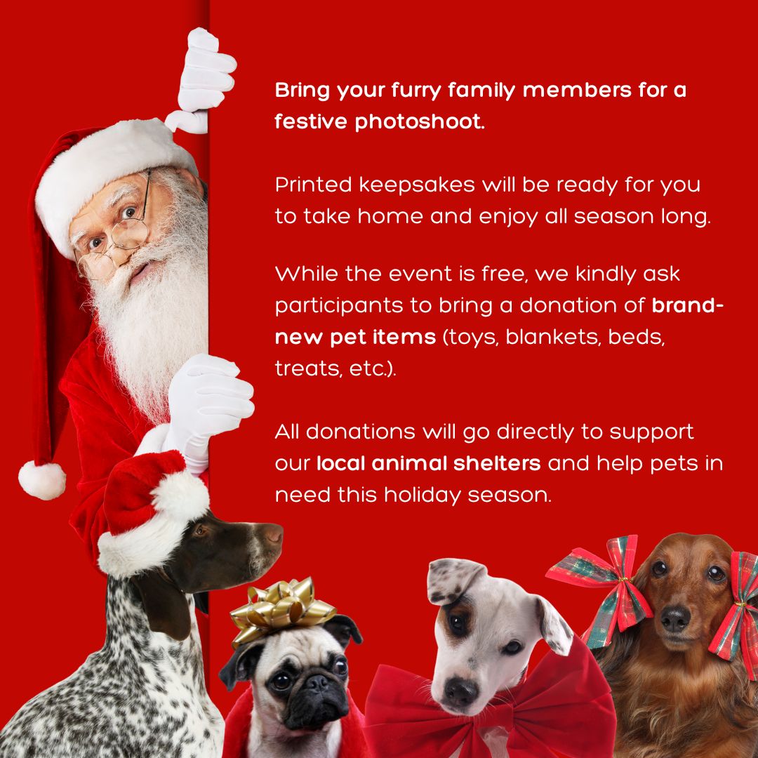 Petworks Veterinary Hospital - Pet Photos with Santa